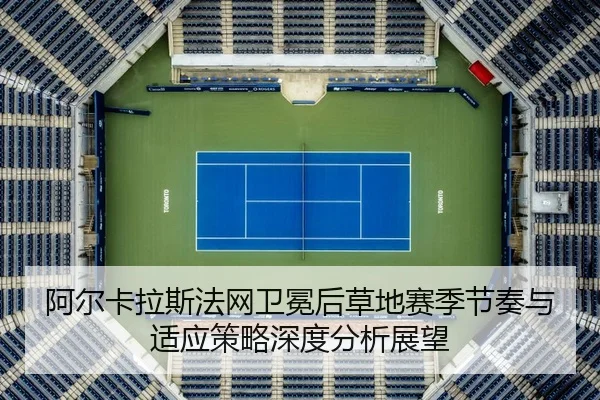 a-er-ka-la-si-fa-wang-wei-mian-hou-cao-di-sai-ji-jie-zou-yu-shi-ying-ce-lve-shen-du-fen-xi-zhan-wang-2-951.jpg
